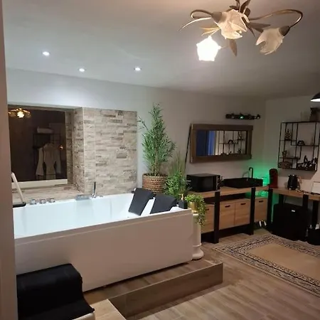 公寓 Love Room, Chambre Deluxe ,jacuzzi ,jardin
